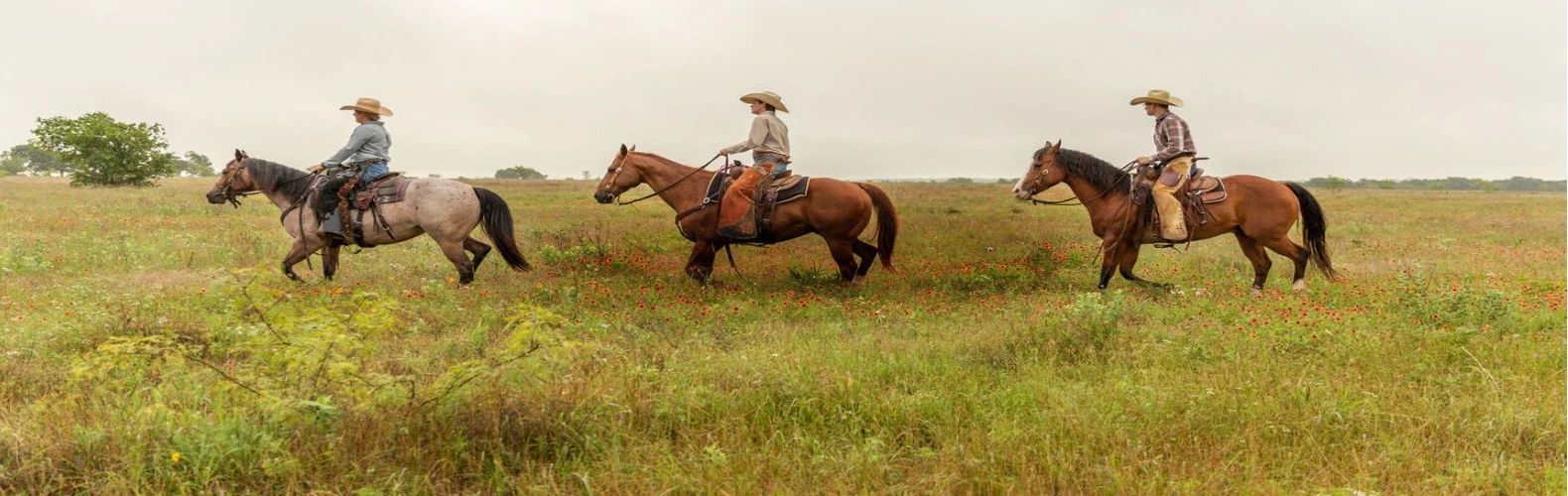 Justin Shop -Justin Shop Justin15802